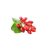 Ingredient Image