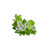 Ingredient Image