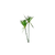 Ingredient Image
