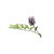 Ingredient Image