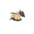 Ingredient Image