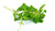 Ingredient Image