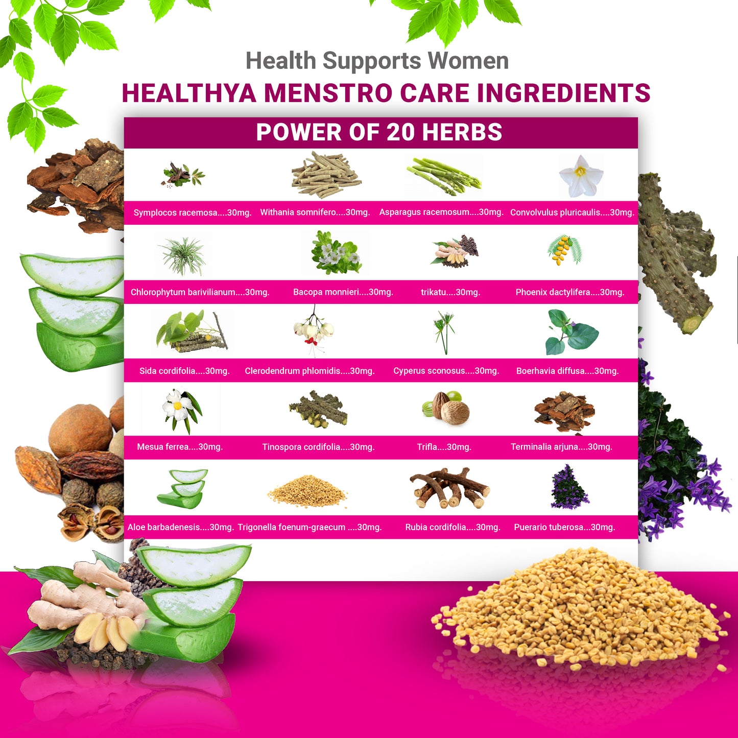 Healthya Menstro Care 100% Ayurvedic 60 Capsules, Relief From Period Pain, Cramps, Menstural Pain, Better Mood
