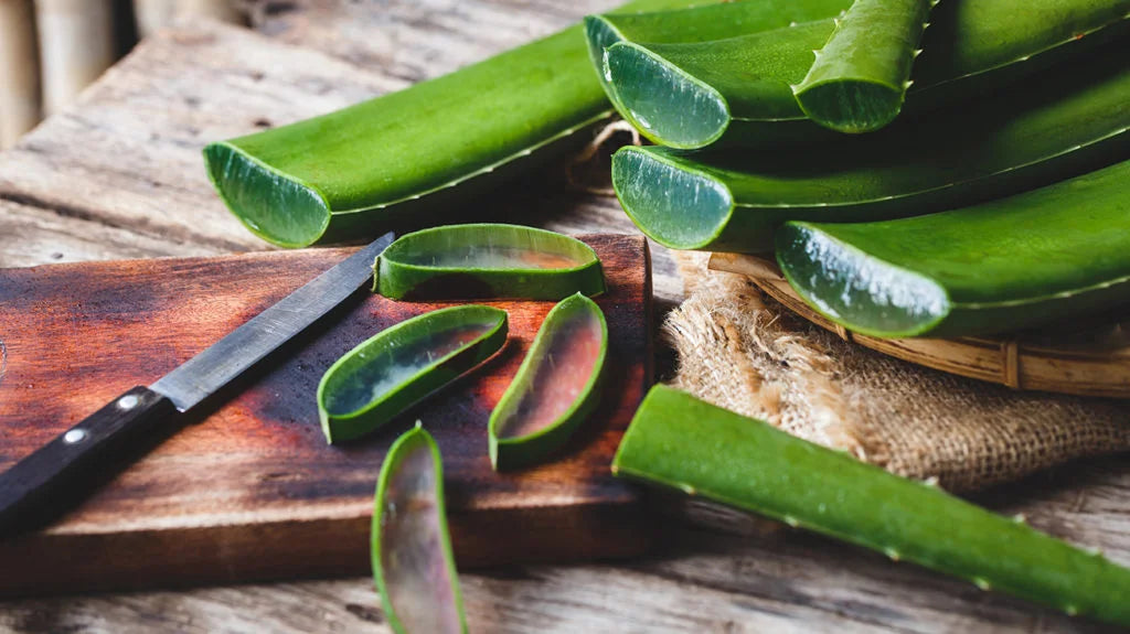 Benefits of Aloe vera