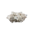 Ingredient Image