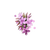 Ingredient Image