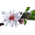 Ingredient Image