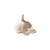 Ingredient Image