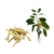 Ingredient Image